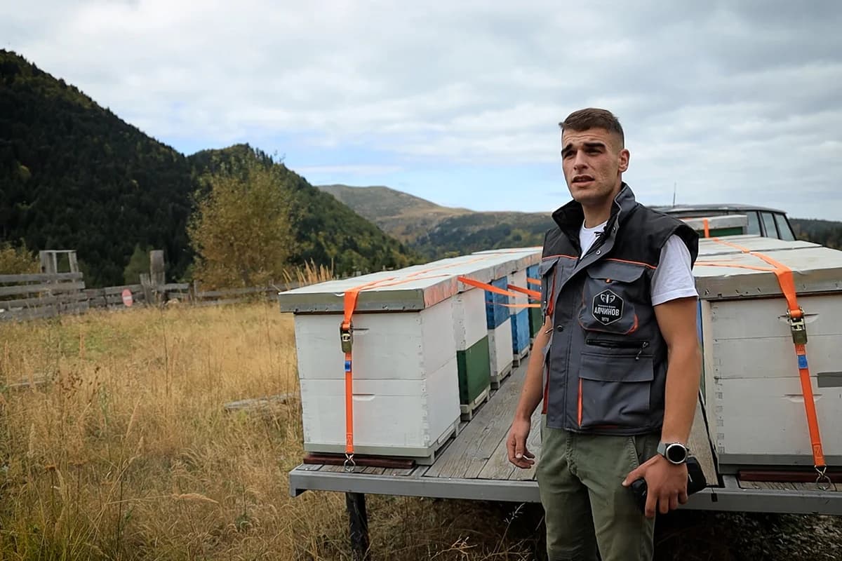 Малите хидроцентрали vs. дивите домородни пчели